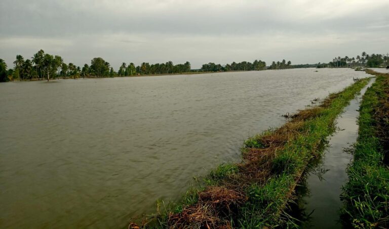 IMG-20250819-WA0040
