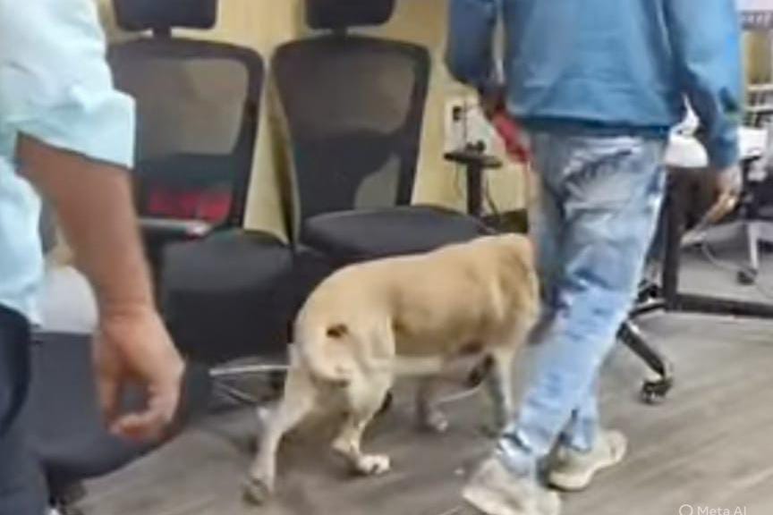 ಹಾಸನ ಜಿಲ್ಲಾಧಿಕಾರಿ ಕಚೇರಿಗೆ ಬಾಂಬ್ ಬೆದರಿಕೆ ಕರೆ