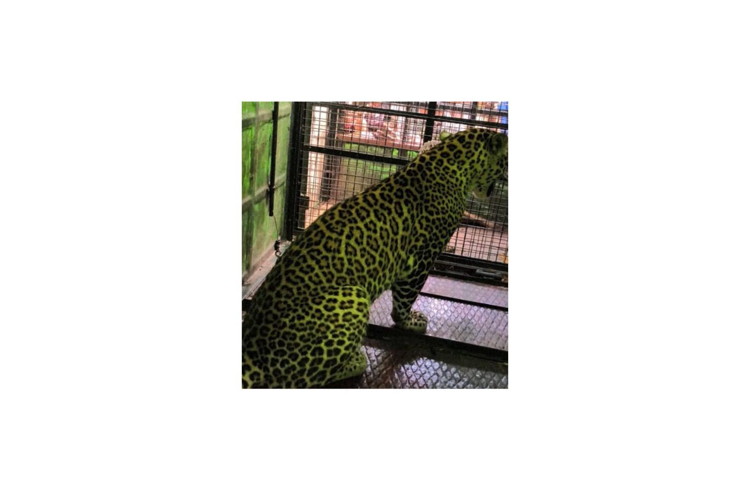IMG-20260521-WA0024