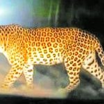 IMG-20260612-WA0044